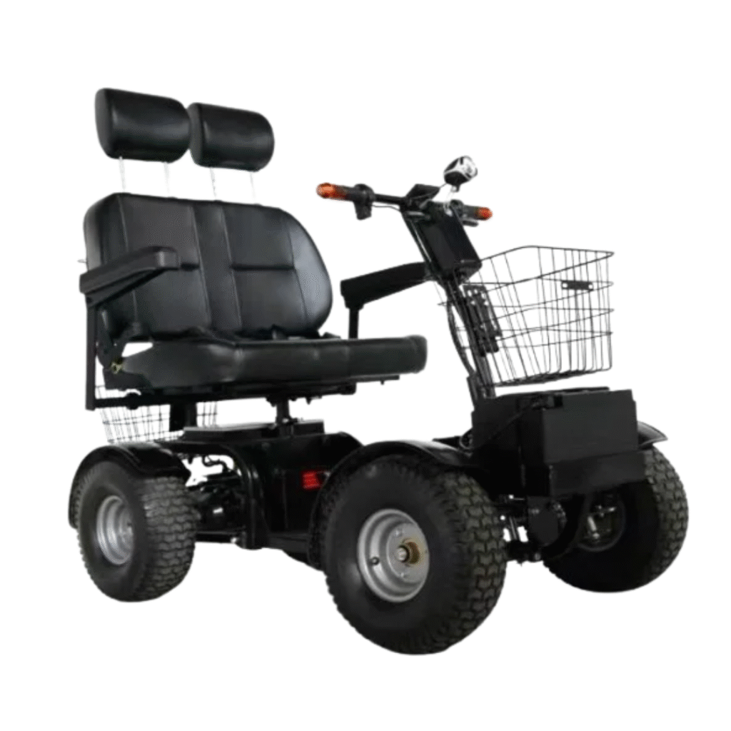 Cheeta Ninja 2 Seater Side View